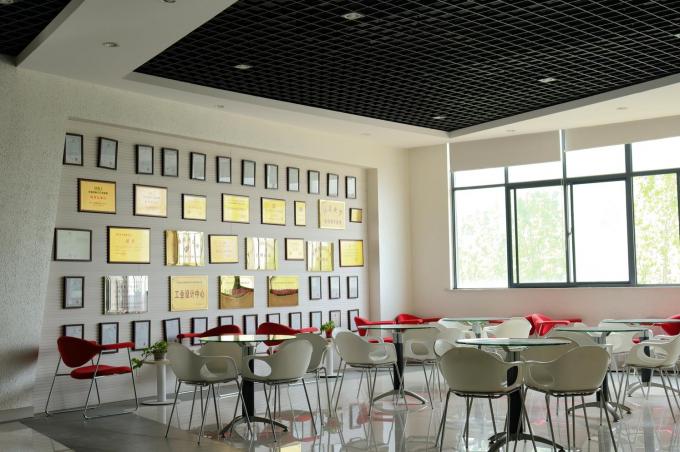 Tıbbi Endüstri Değişken Frekanslı Inverter Sürtünme Besleyicileri 7