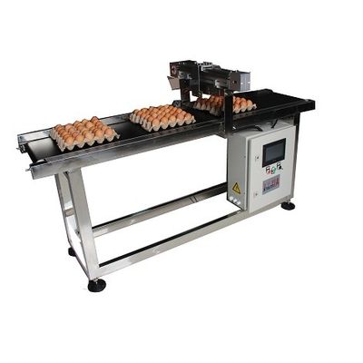 E5 400W X Traverse Sistemi Tarih Kodlaması için Yumurta Kodlama Taşıyıcı Makinesi