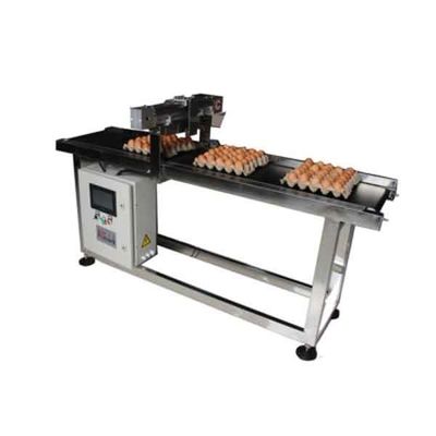 PLC Kontrol Tarih Yazdırma CIJ TIJ Kemer Yumurta Kodlama Taşıyıcı